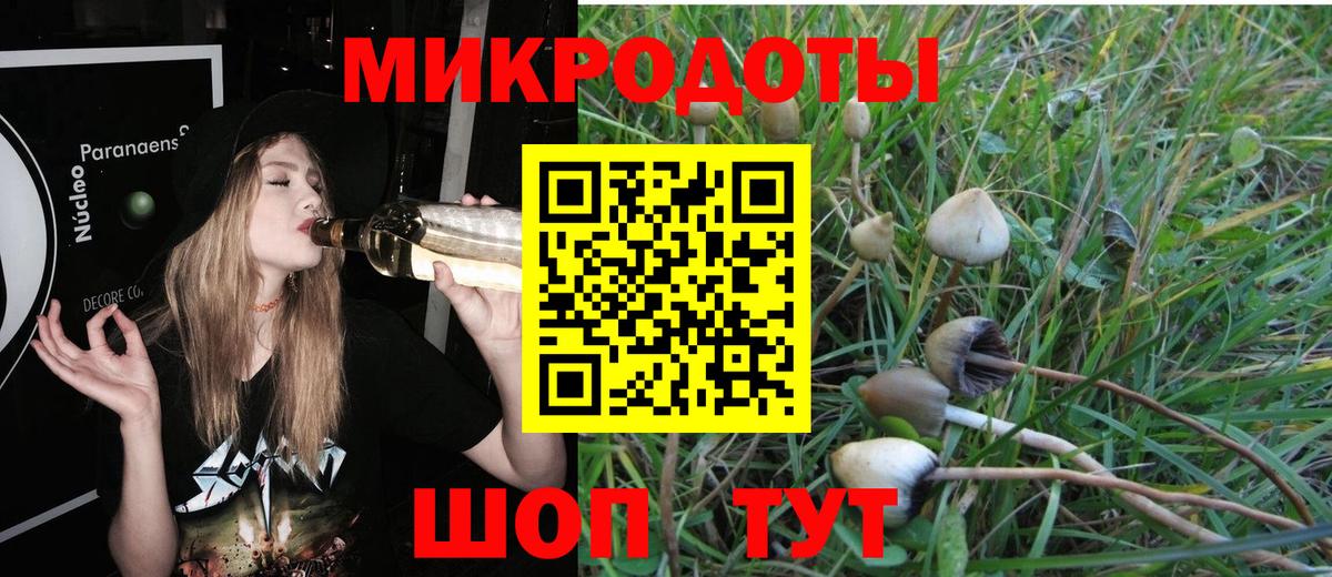 Анжеро-Судженск  Псилоцибиновые грибы Psilocybe  Вход с VPN 