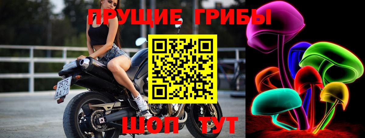 Псилоцибиновые грибы ЛСД Анжеро-Судженск