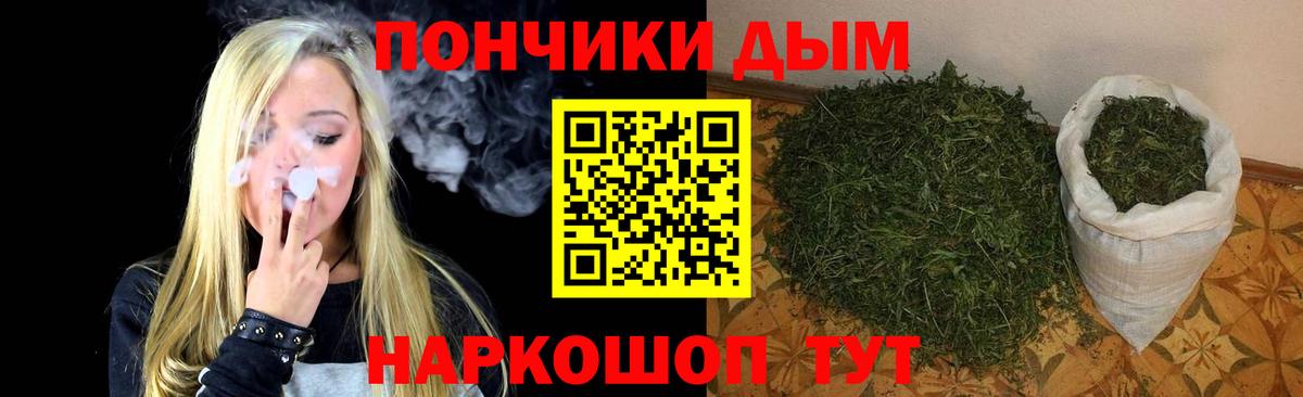 Конопля семена  Бошки марихуана план  Вход с VPN  Анжеро-Судженск 